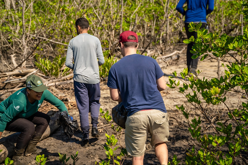 Bertioga realiza mutirão de limpeza do mangue durante o período de defeso do camarão