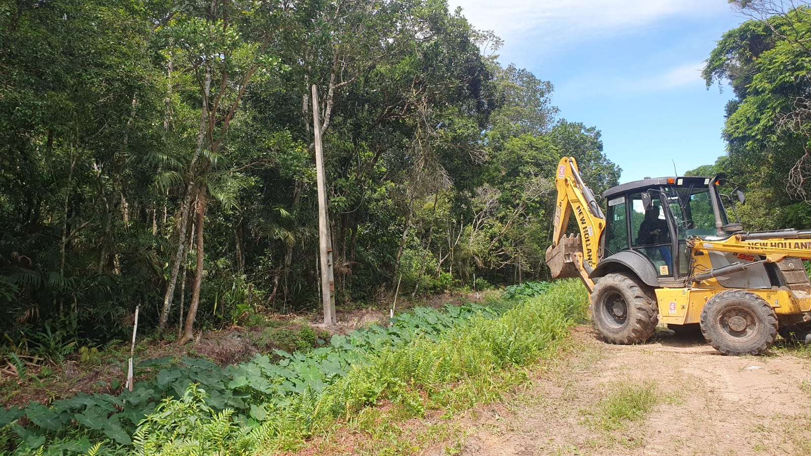 DOA remove cinco postes de energia elétrica em Área de Proteção Ambiental