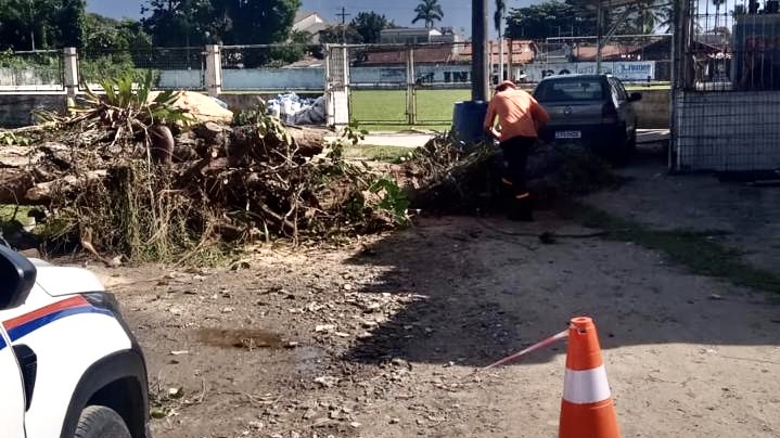 Defesa Civil remove árvore que obstruía via no Indaiá