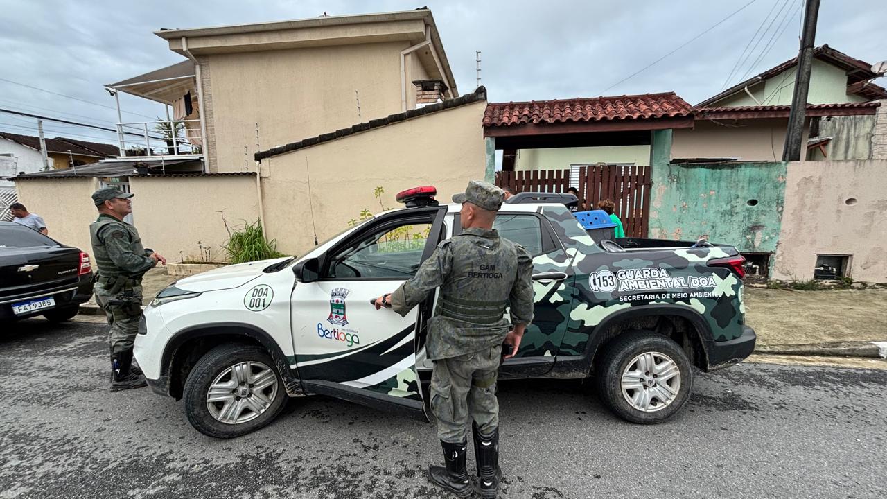 DOA realiza resgate de saruê em área urbana de Bertioga