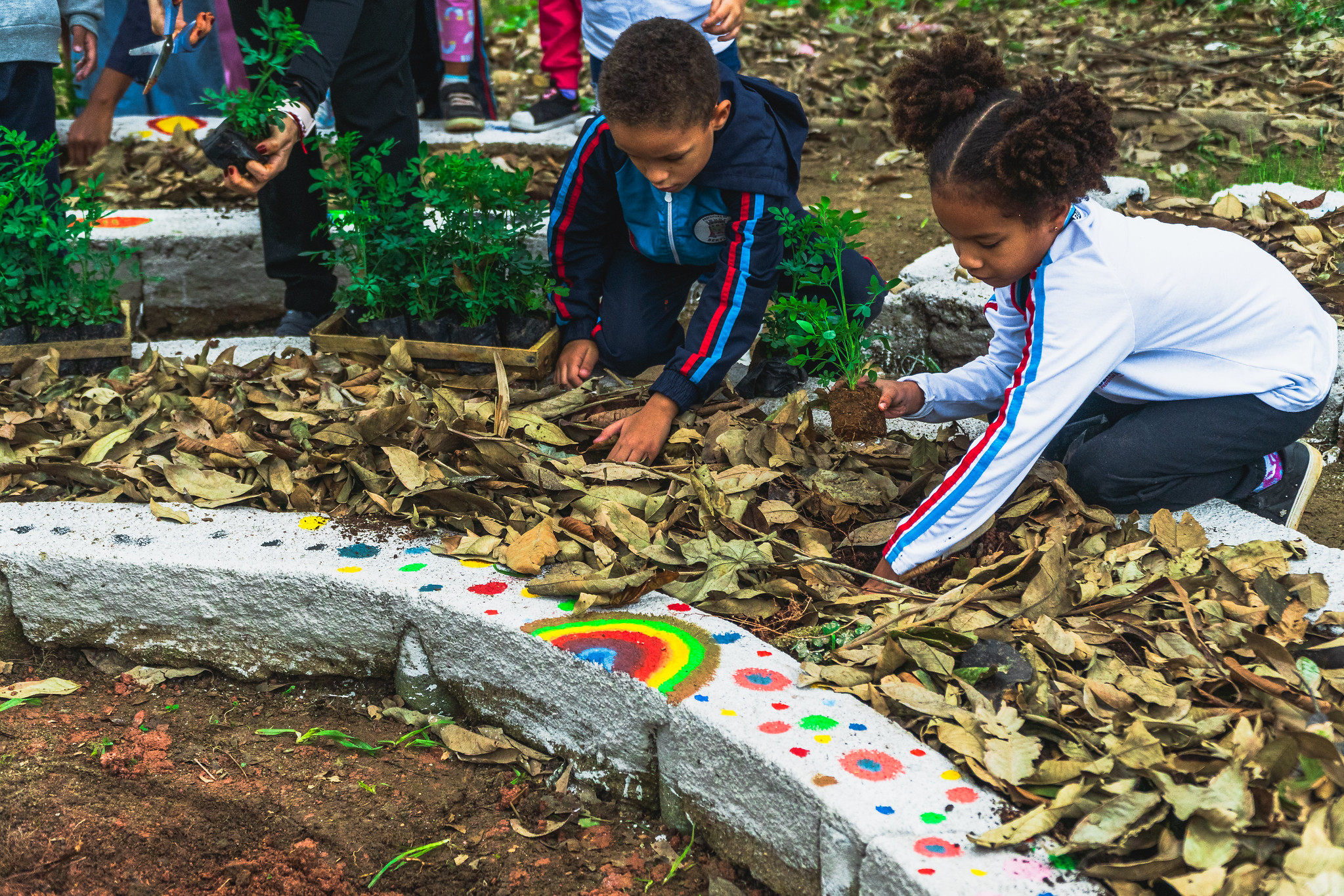 Alunos cultivam 800 mudas com apoio do Centro de Educação Ambiental