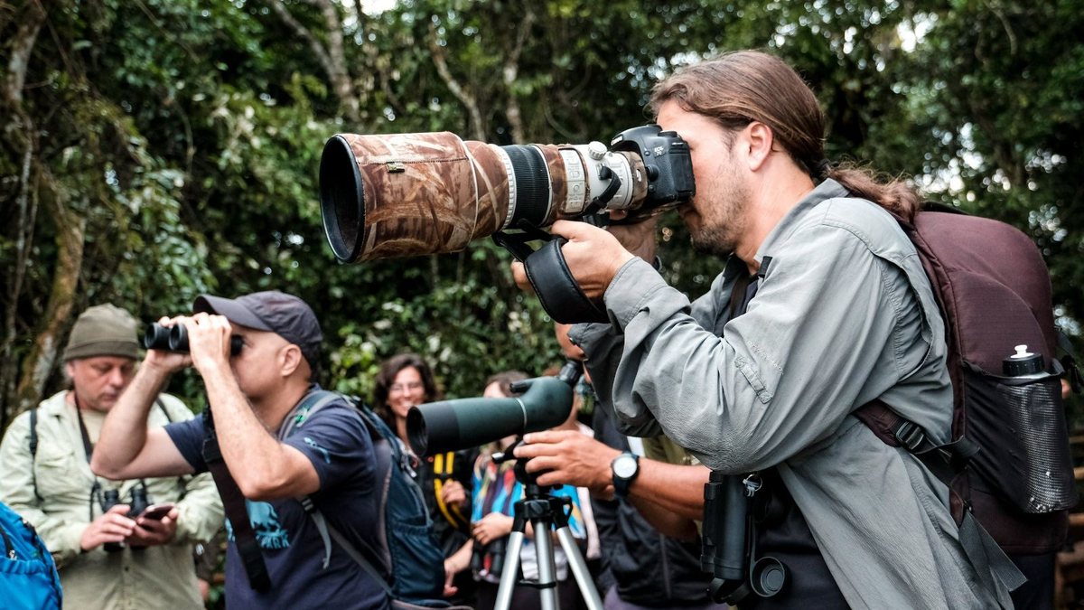 Inscrições para cursos gratuitos voltados ao turismo náutico e à observação de aves são prorrogadas