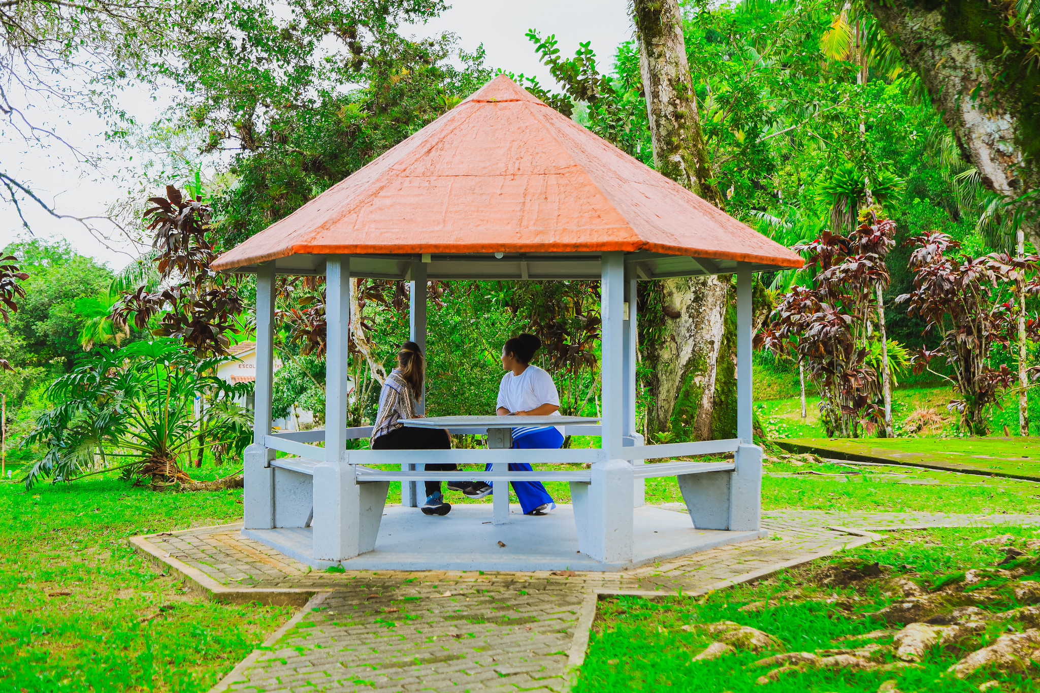 Bertioga se projeta no cenário internacional como polo de turismo educacional e sustentabilidade