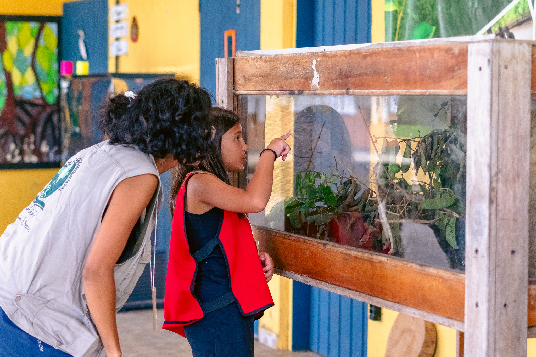 CEA de Bertioga e Unifesp abrem inscrições para minicurso de férias sobre biodiversidade marinha