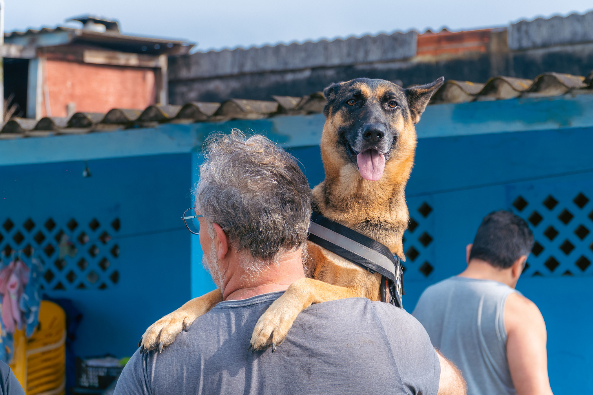 Bertioga promove mutirão de castração e microchipagem para cães e gatos
