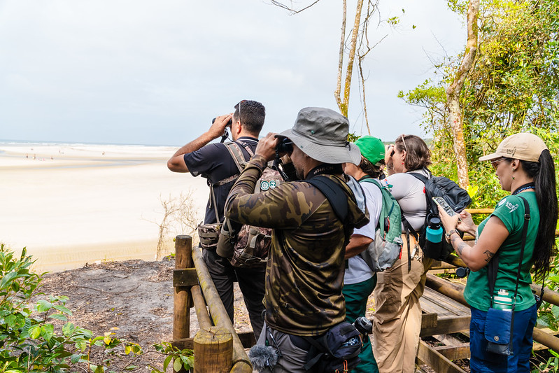 Festival das Aves de Bertioga convida a comunidade a “conectar horizontes” em palestra sobre conservação e turismo de natureza