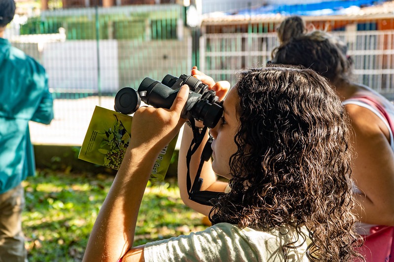 Festival das Aves de Bertioga começa nesta quarta-feira (7) e prepara a cidade para o October Big Day